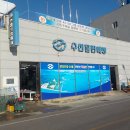 마량 5일시장(마량놀토시장) | 강진 마량항 회포장 마량 수산물 판매장 직판장