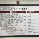 타이거루