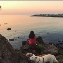 해질녘민박 이미지