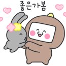 쿨캣 이미지