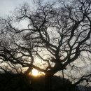 광주디자인센터 대세미나실 이미지