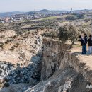 올리브 농장 이미지