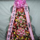 구갈스포츠센타 이미지