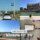 팔마 | [스페인마요르카] 팔마대성당 주차장 위치 입구 요금 관람 후기