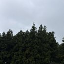 휴퐁낭스테이 이미지