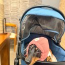 금샘로 | [부산/금정구] 금정구 한식 범어사 한정식 맛집 연잎밥이 맛있는 금정한정식 솔직후기