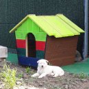 우영농장 이미지