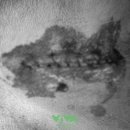 비바동물병원 이미지