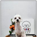 까망댕댕 이미지