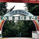 수봉놀이동산 이미지