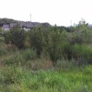 성상1리마을회관 이미지