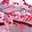 목련어린이집 이미지