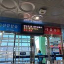 삼척해상케이블카 장호역 이미지