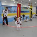 튼튼한 용인대 태권도장 이미지