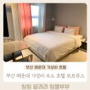 호텔모모주스 | 부산 해운대 가성비 숙소 해운대호텔 모모쥬스 숙박 솔직후기