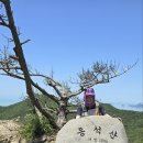 2024-주219 이미지