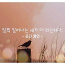 (주)코랩