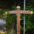 동화울수변공원~대전세관 이미지