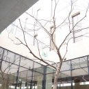 그리움한잔 | 서울근교 프리미엄 봉안당 광릉더크레스트 상담후기