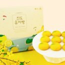 진도아리랑유자 네이버블로그