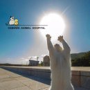 친구가 될 동물병원 이미지