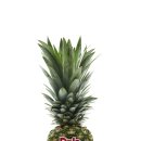 파인애플 이미지