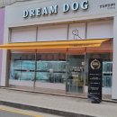 드림독 강아지분양 안심분양센터 인천점 이미지