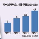 매일커머스