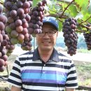 대가포도농원 이미지