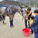 ㈜마차체험마을 | 전주 당일치기 여행 아이랑 한옥마을마차 체험 후기