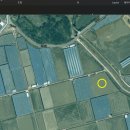 이담공인중개사사무소 이미지