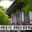 순흥애꽃 이미지