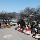 매화농업협동조합 이미지