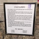 제주 산방산 암벽식물지대 이미지