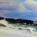 울산세계로여행