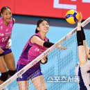 월드유도체육관 이미지