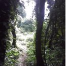 상선민박 이미지