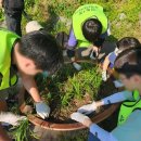 청명초등학교 이미지