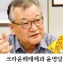 영일당 | 생각보다 훨씬 드라마 같았던 책