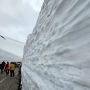 (주)제주파랑새관광여행사 | 제주패키지여행 제주파랑새관광여행사와 함께한 제주 여행 후기