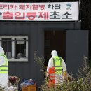 소격리농장 이미지