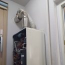 한신더휴 퍼스트리움 이미지