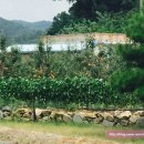 핏골농장 네이버블로그