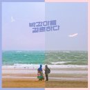 슈슈보리 네이버블로그