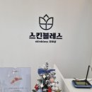 스킨 블레스 이미지