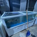 김해횟집화장실 | 김해 물회 맛집 형제도매횟집 김해본점 가성비 후기