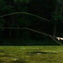 (주)위플라이 이미지