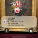 신세계안경 | 미우미우 리가드 하바나 안경 대구 신세계 구매 후기