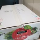 산들애건강즙 | 산지애 사과 하나 사과즙 후기