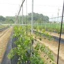 고리봉농장 이미지